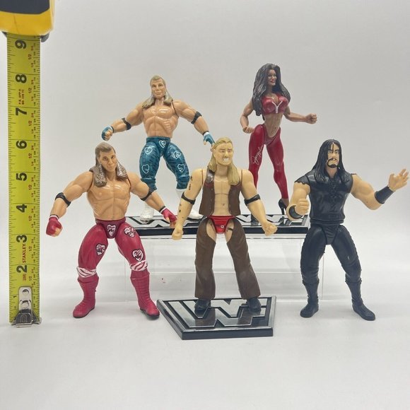 WWE Jakks Pacific Wrestling Figure Lot Of 5 Hawk Michaels Undertaker Jacqueline - Picture 2 of 3
